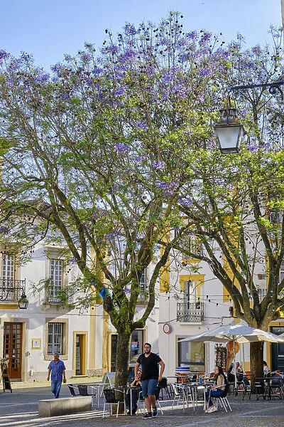Tranquil little square in the old town of Evora with jacaranda trees