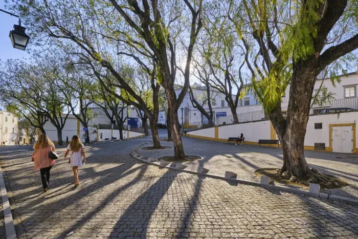 Framed Print : Tranquil little square in the old town of Evora with jacaranda trees Framed Print : Tranquil little square in the old town of Evora with jacaranda trees