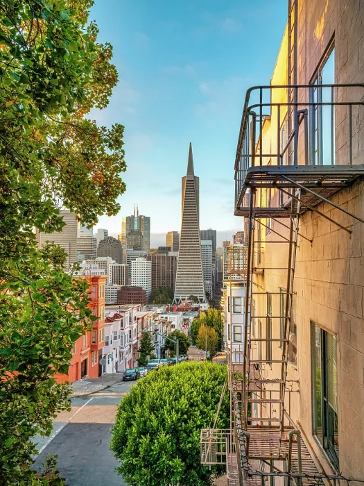 Framed Print : Transamerica Pyramid Building From North Beach at Sunrise with some Fogginess, San Francisco, California, USA Framed Print : Transamerica Pyramid Building From North Beach at Sunrise with some Fogginess, San Francisco, California, USA