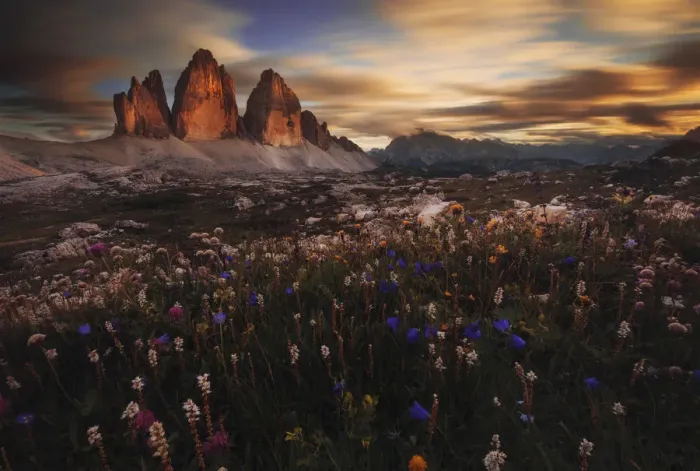 Framed Print : Tre Cime di Lavaredo in summer at sunset, Dolomites, Italy Framed Print : Tre Cime di Lavaredo in summer at sunset, Dolomites, Italy