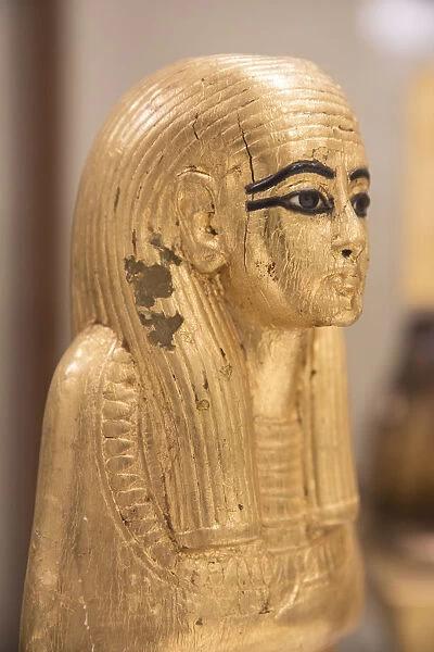 Treasures of Tutankhamun, Egyptian Museum, Cairo, Egypt