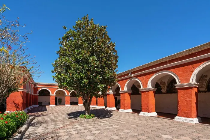 Framed Print : Tree at cloister Monastery of Santa Catalina de Siena, UNESCO, Arequipa, Arequipa Province, Arequipa Region, Peru Framed Print : Tree at cloister Monastery of Santa Catalina de Siena, UNESCO, Arequipa, Arequipa Province, Arequipa Region, Peru