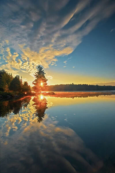 Tree and cloud reflection at sunrise. Smoke Lake Algonquin Provincial Park, Ontario, Canada
