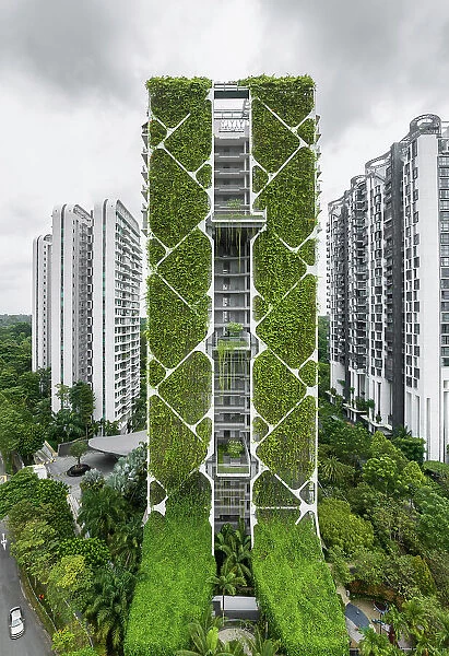 Tree House, Bukit Panjang, Singapore