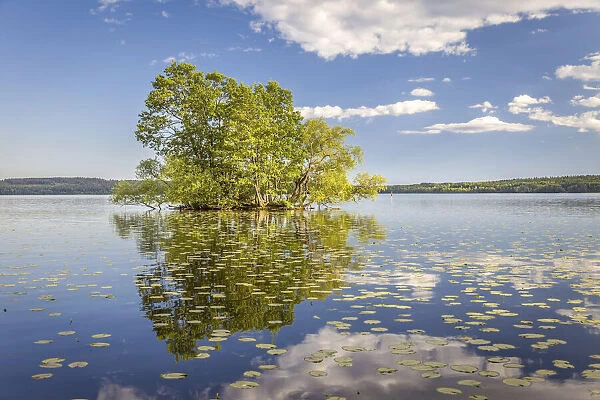 Tree island in Lake Malaren in Sigtuna, Stockholm County, Sweden