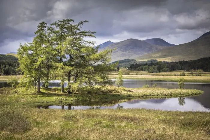 Framed Print : Tree island in Loch Tulla on the south edge of Rannoch Moor, Aryll and Bute, Scotland Framed Print : Tree island in Loch Tulla on the south edge of Rannoch Moor, Aryll and Bute, Scotland