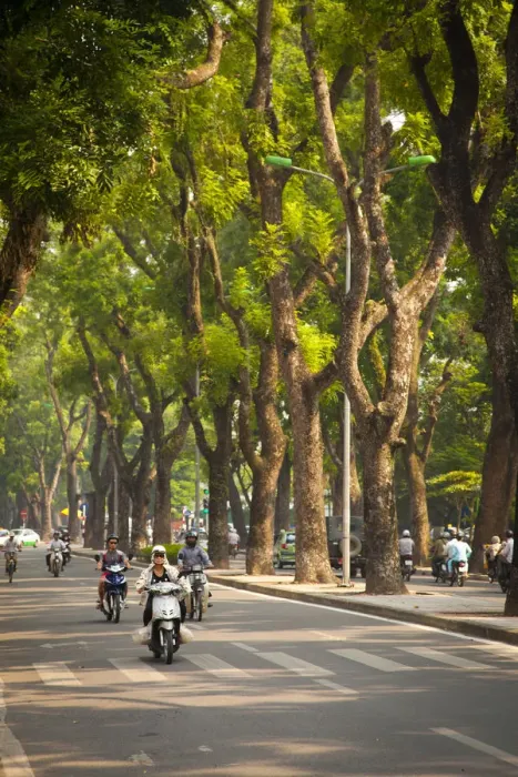 Framed Print : Tree lined boulevard in the Ba Dinh district, Hanoi, Vietnam Framed Print : Tree lined boulevard in the Ba Dinh district, Hanoi, Vietnam