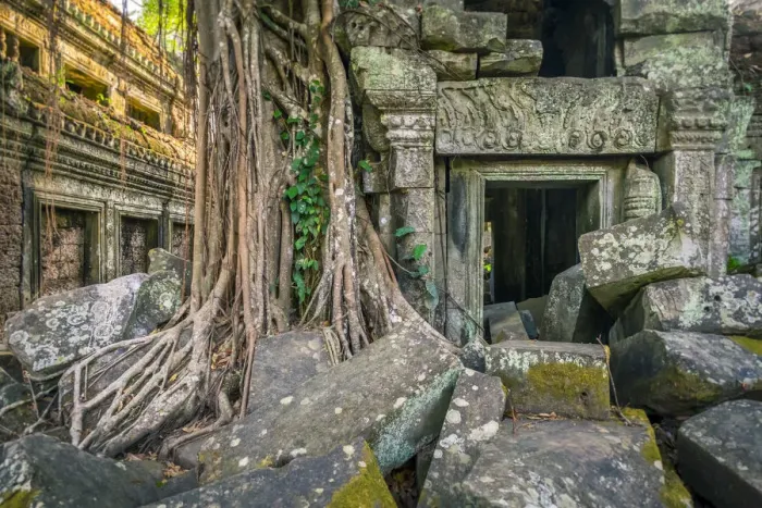 Framed Print : Tree roots at Ta Prohm temple ruins, Angkor, UNESCO World Heritage Site, Siem Reap Framed Print : Tree roots at Ta Prohm temple ruins, Angkor, UNESCO World Heritage Site, Siem Reap
