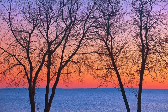 Framed Print : Trees along Lake Winnipeg at sunrise. Matlock, Manitoba, Canada
