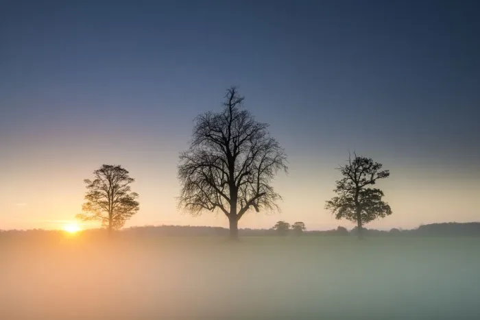 Framed Print : Three Trees in Mist at Sunrise, Norfolk, England Framed Print : Three Trees in Mist at Sunrise, Norfolk, England