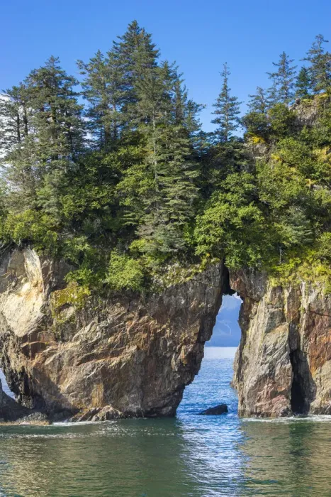 Framed Print : Trees on natural rock arch at Resurrection Bay, Kenai Peninsula Borough Framed Print : Trees on natural rock arch at Resurrection Bay, Kenai Peninsula Borough