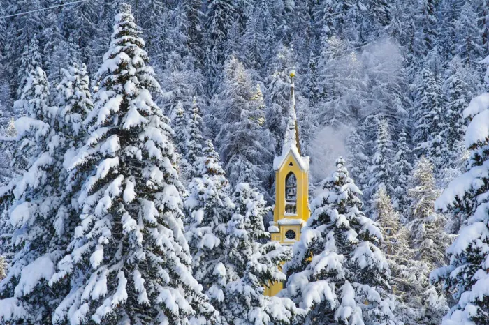 Framed Print : Trees with pristine snow and yellow church. St Moritz, Engadine, Switzerland Framed Print : Trees with pristine snow and yellow church. St Moritz, Engadine, Switzerland