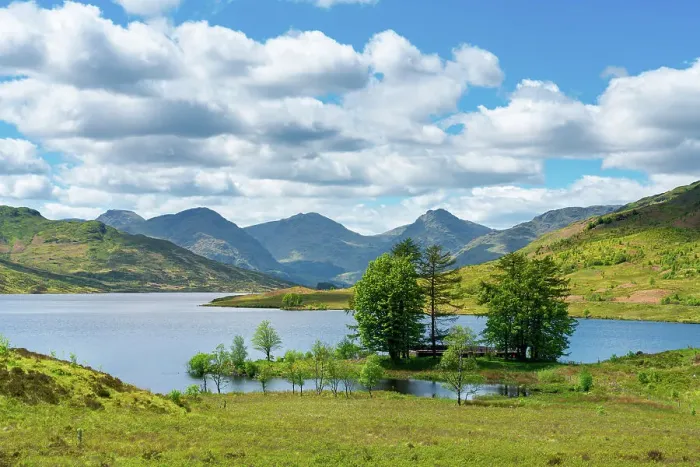 Framed Print : Trees on shore of Loch Arklet with mountains in background, Loch Lomond and The Trossachs National Park, Trossachs, Stirling, Scotland, UK Framed Print : Trees on shore of Loch Arklet with mountains in background, Loch Lomond and The Trossachs National Park, Trossachs, Stirling, Scotland, UK