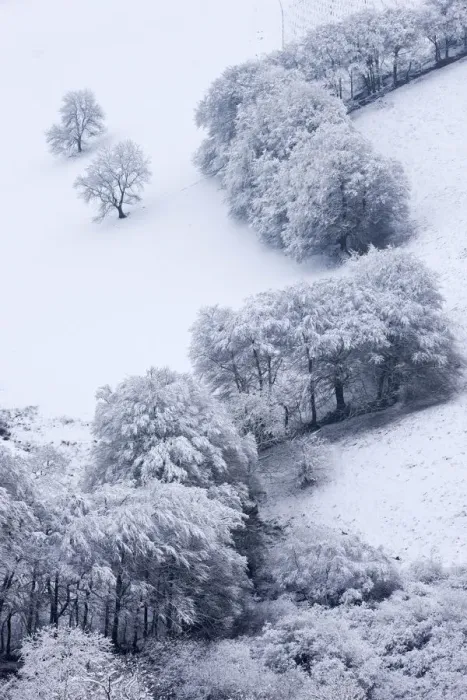 Framed Print : Trees in snow at the Punchbowl, Exmoor National Park, Somerset, England. Winter Framed Print : Trees in snow at the Punchbowl, Exmoor National Park, Somerset, England. Winter