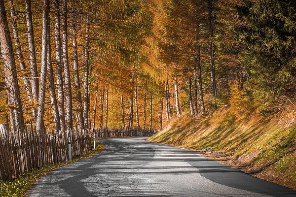 Trentino Alto Adige, autumn colors in a mountain street road