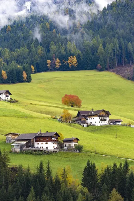 Framed Print : Trentino Alto Adige, Italy. Autumn scenic outdoor, foliage and green hills with snowy Framed Print : Trentino Alto Adige, Italy. Autumn scenic outdoor, foliage and green hills with snowy