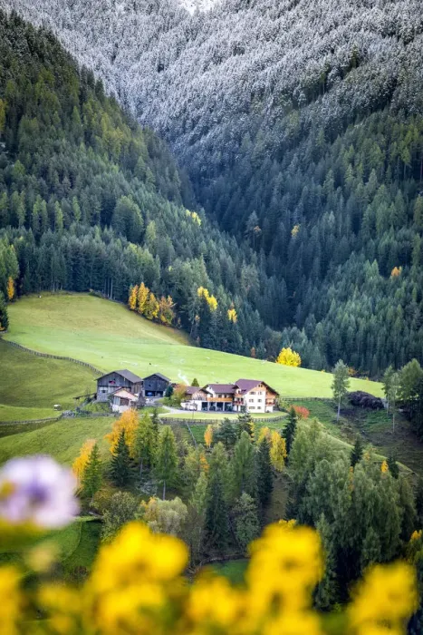 Framed Print : Trentino Alto Adige, Italy. Autumn scenic outdoor, foliage and green hills with snowy