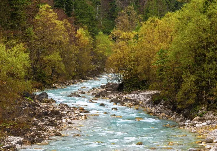 Framed Print : Triglavska Bistrica stream in autumn, Triglav National Park, Slovenia Framed Print : Triglavska Bistrica stream in autumn, Triglav National Park, Slovenia