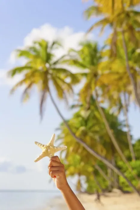 Framed Print : Trinidad and Tobago, Tobago Island, Pigeon Point, Childs hand holding starfish infront Framed Print : Trinidad and Tobago, Tobago Island, Pigeon Point, Childs hand holding starfish infront
