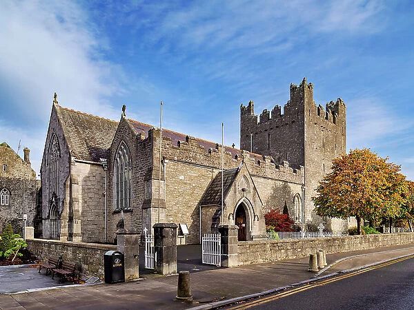 Trinitarian Abbey, Adare, County Limerick, Ireland