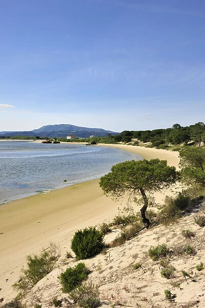 Troia lagoon. Sado River Nature Reserve, Portugal