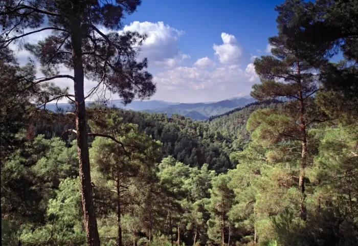 Framed Print : Troodos Mountains Framed Print : Troodos Mountains