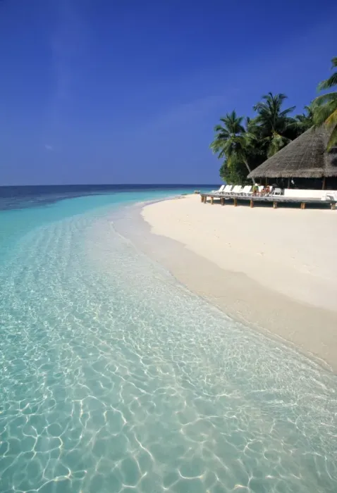 Framed Print : Tropical beach