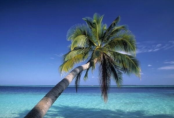 Tropical beach, Maldives