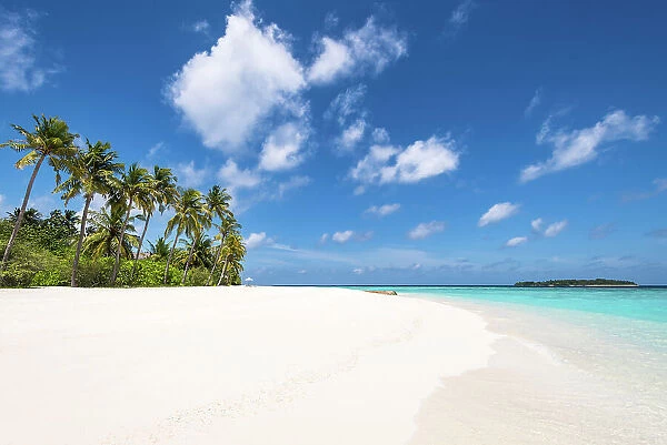 Tropical beach, Baa Atoll, Maldives