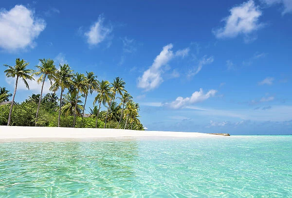 Tropical beach, Baa Atoll, Maldives