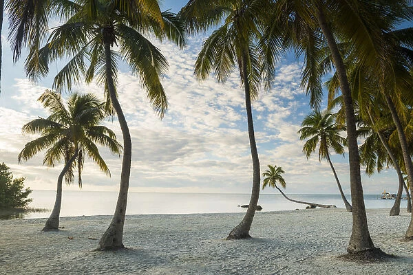 Tropical Beach, Islamorada, Florida Keys, USA