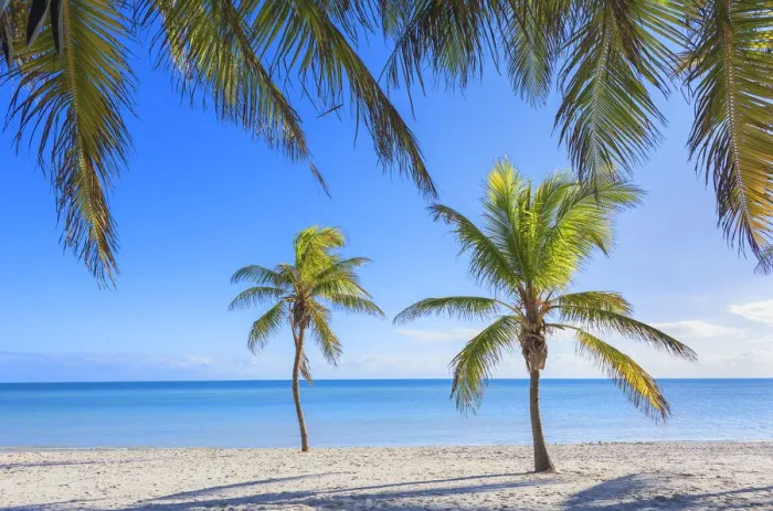 Framed Print : Tropical beach, Key West, Florida, USA Framed Print : Tropical beach, Key West, Florida, USA