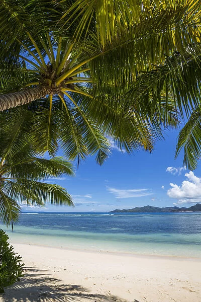 Tropical beach on La Digue, Seychelles