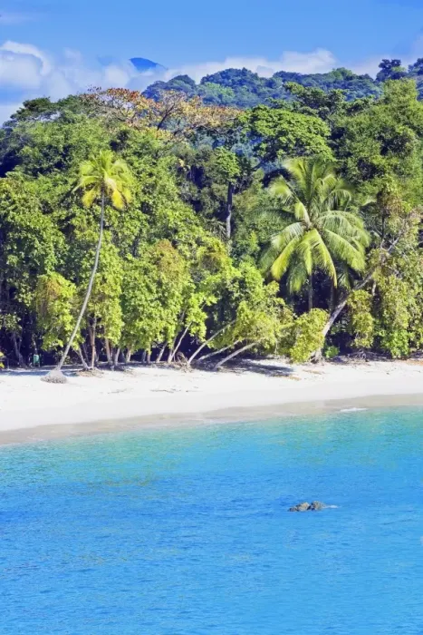 Framed Print : Tropical beach, Manuel Antonio National Park, Costa Rica Framed Print : Tropical beach, Manuel Antonio National Park, Costa Rica