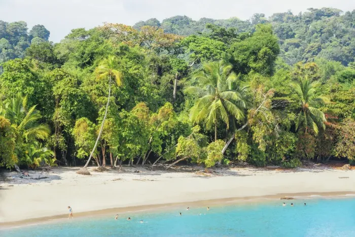 Framed Print : Tropical beach, Manuel Antonio National Park, Quepos, Costa Rica Framed Print : Tropical beach, Manuel Antonio National Park, Quepos, Costa Rica