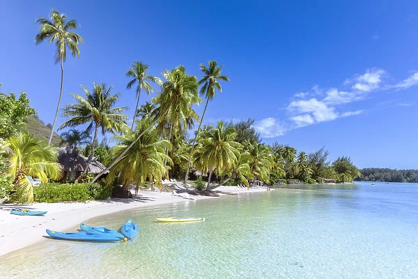 Tropical beach, Moorea, French Polynesia