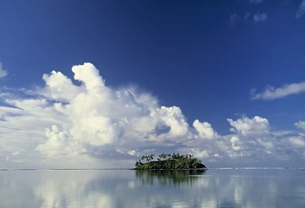 Tropical Island, Raratonga, Cook Islands