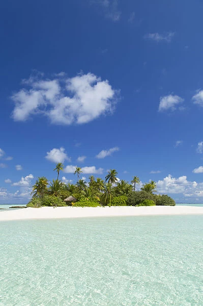 Tropical island, South Male Atoll, Kaafu Atoll, Maldives
