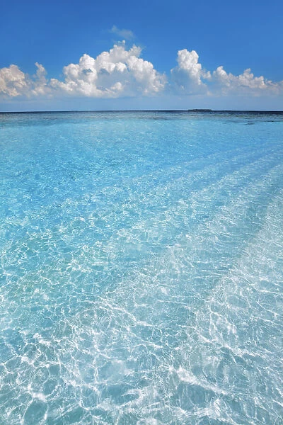 Tropical lagoon - Maldives, Baa Atoll, Kunfunadhoo - Soneva Fushi