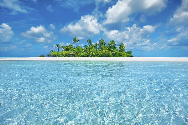 Tropical lagoon with palm island - Maldives, South Male Atoll