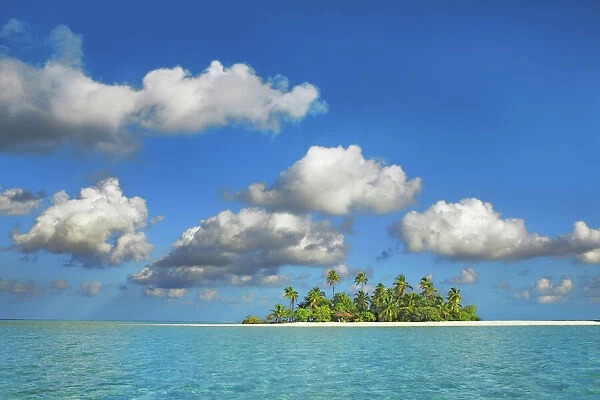 Tropical lagoon with palm island - Maldives, South Male Atoll
