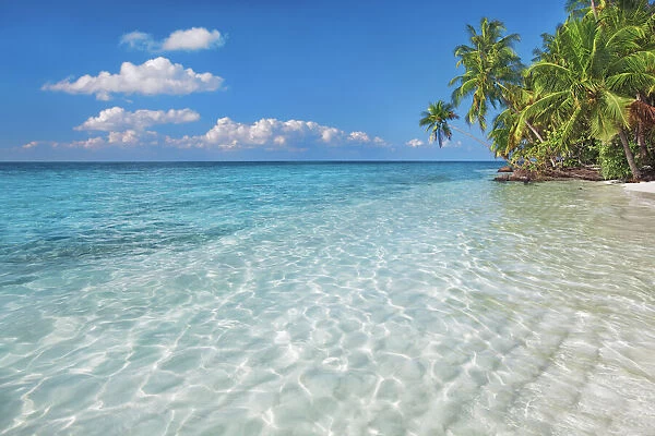 Tropical lagoon with palms - Maldives, Nord Nilandhe Atoll, Filitheyo