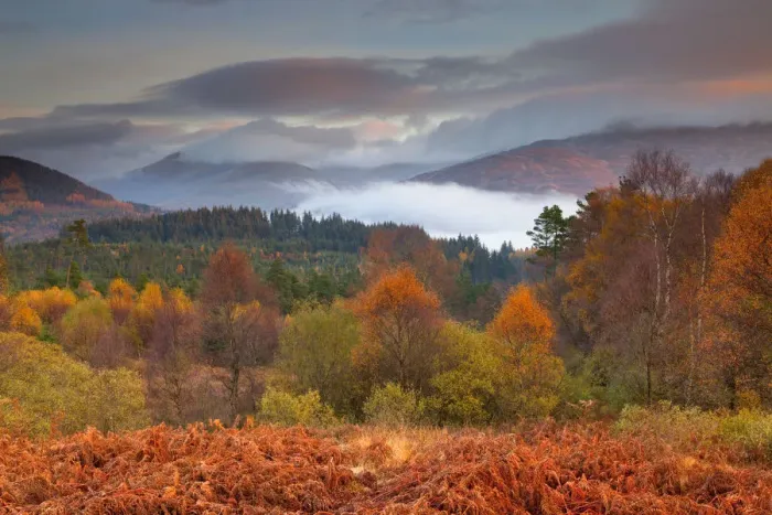 Framed Print : The Trossachs National Park in Autumn, Central Region, Stirling, Scotland Framed Print : The Trossachs National Park in Autumn, Central Region, Stirling, Scotland