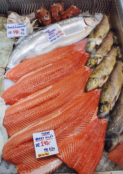 Trouts in the fish market. Bergen. Norway