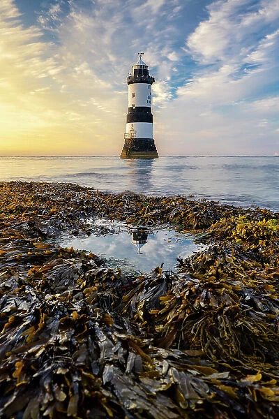 Trwyn Du Lighthouse at sunset, Llangoed, Gwynedd, Anglesey, Wales, Great Britain, United Kingdom