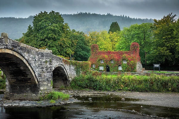 Tu Hwnt l r Bont Tearooms covered in Virginia creeper in autumn, Llanrwst, Conwy, Wales
