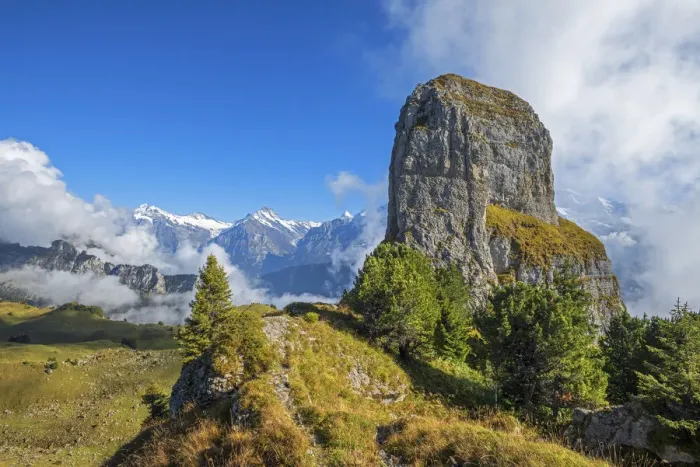 Framed Print : Tuba mountain with Wetterhorn and Fiescherhorn, Schynige Platte, Grindelwald Framed Print : Tuba mountain with Wetterhorn and Fiescherhorn, Schynige Platte, Grindelwald