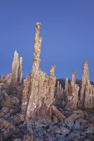 Tufa formations at Mono Lake - USA, California, Mono, Mono Lake