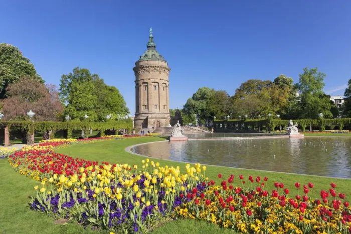 Framed Print : Tulips at Friedrichsplatz with water tower, Mannheim, Baden-Wurttemberg, Germany Framed Print : Tulips at Friedrichsplatz with water tower, Mannheim, Baden-Wurttemberg, Germany