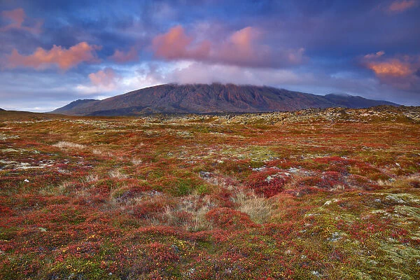 Tundra landscape at Snaefellsjokull - Iceland, Western Region, Snaefellsness, Londrangar